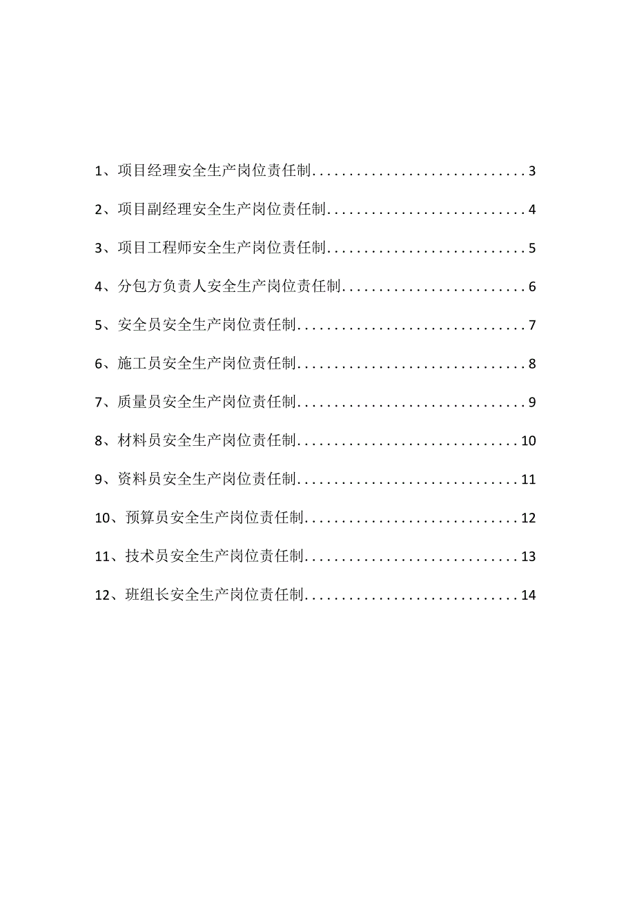 项目岗位人员安全生产责任制.docx_第1页