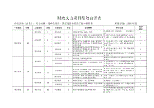 财政支出项目绩效自评表.docx