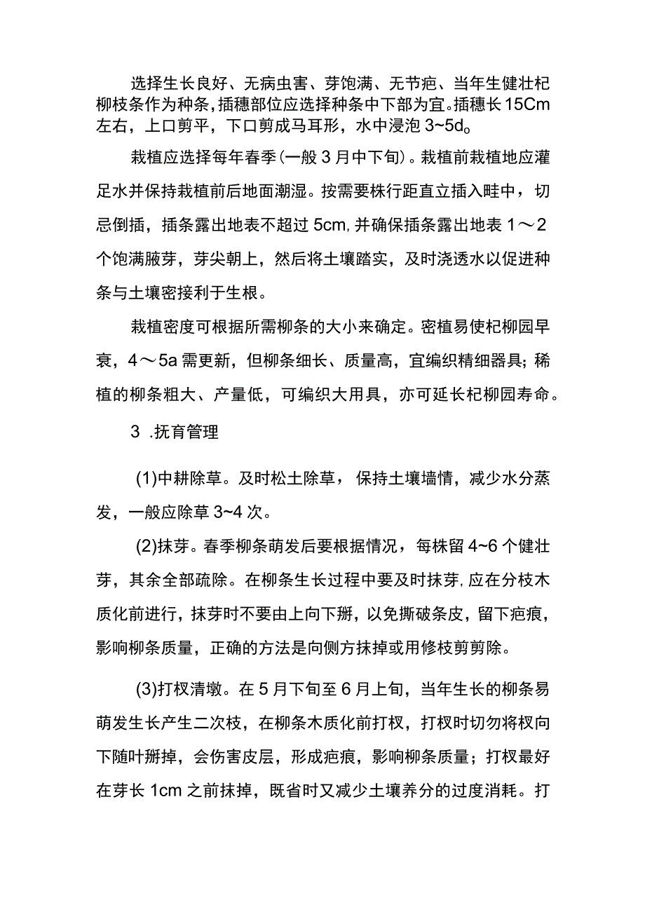 杞柳高产栽培技术.docx_第2页