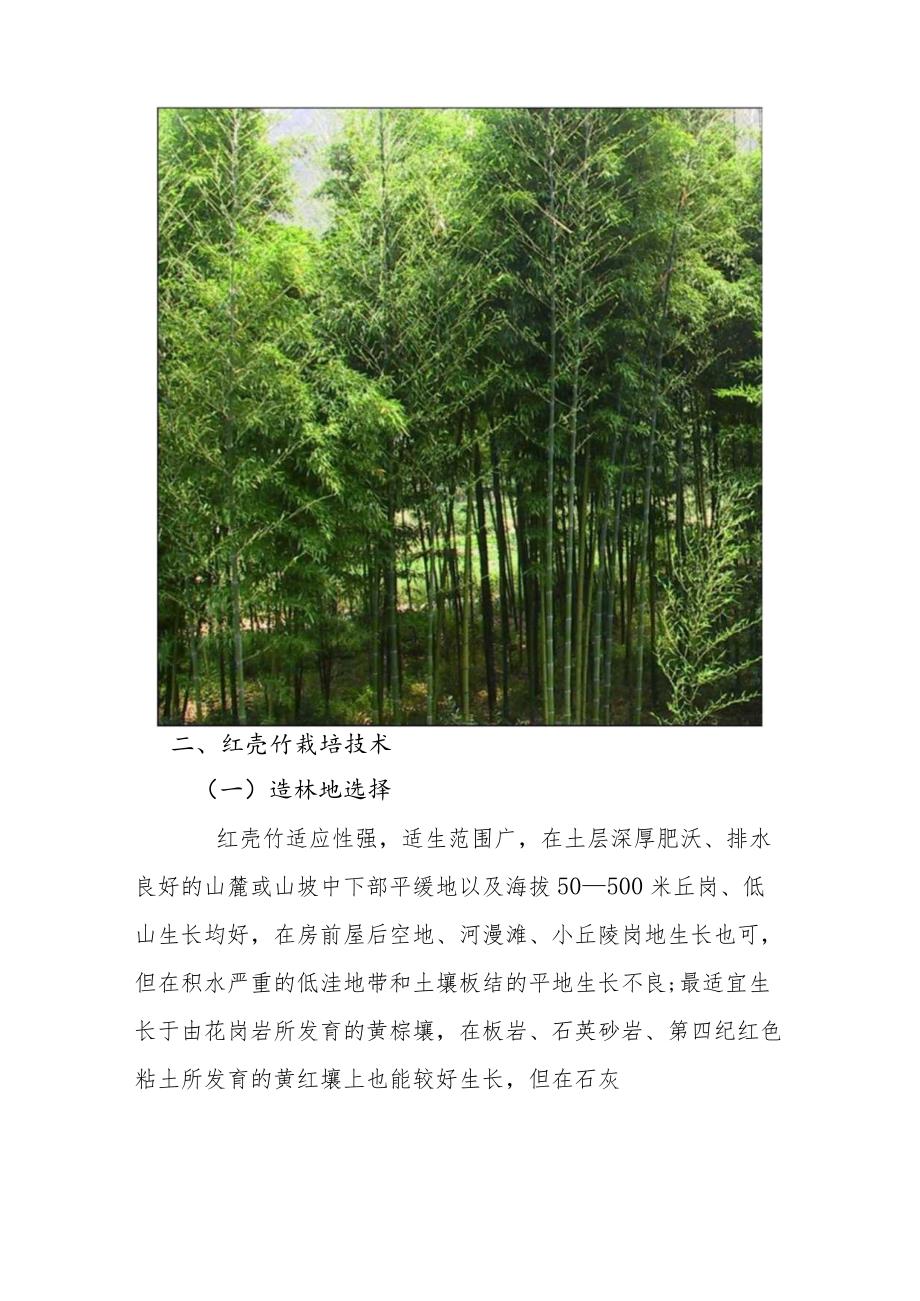 红壳竹栽培技术.docx_第2页