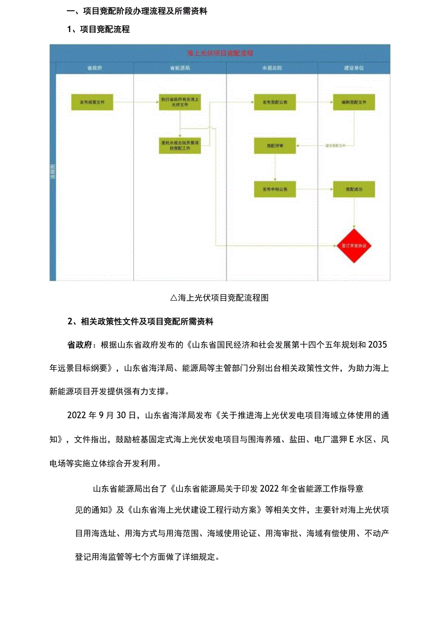 海上光伏项目开发全流程(实操).docx_第2页
