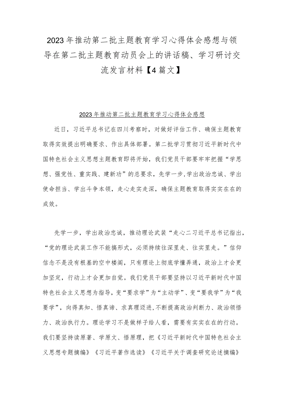 2023年推动第二批主题教育学习心得体会感想与领导在第二批主题教育动员会上的讲话稿、学习研讨交流发言材料【4篇文】.docx_第1页