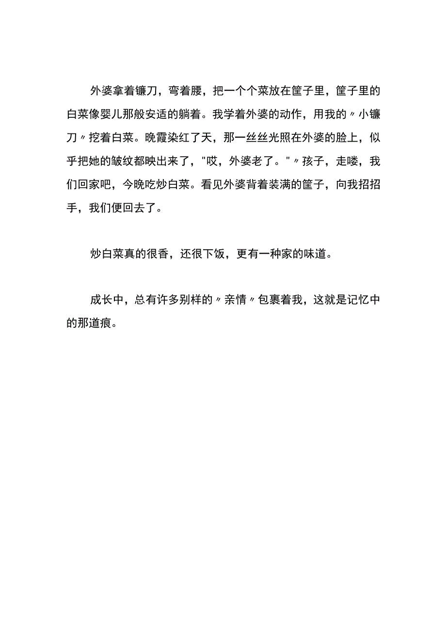 记忆中的那道痕初中作文.docx_第2页