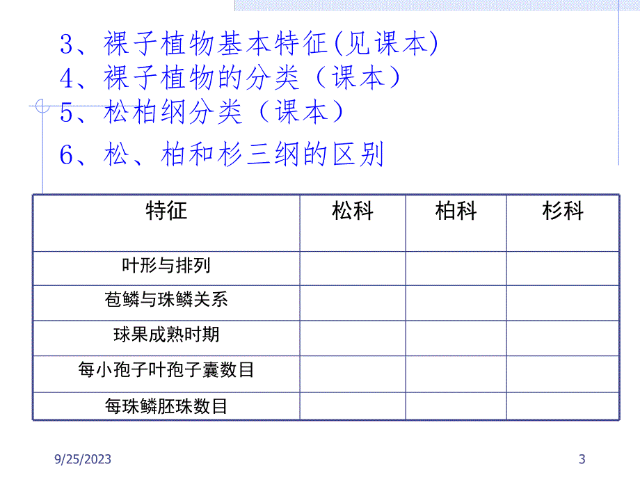 裸子植物总结.ppt_第3页