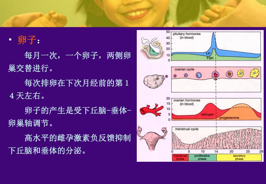 避孕方法的应用及进展.ppt_第3页