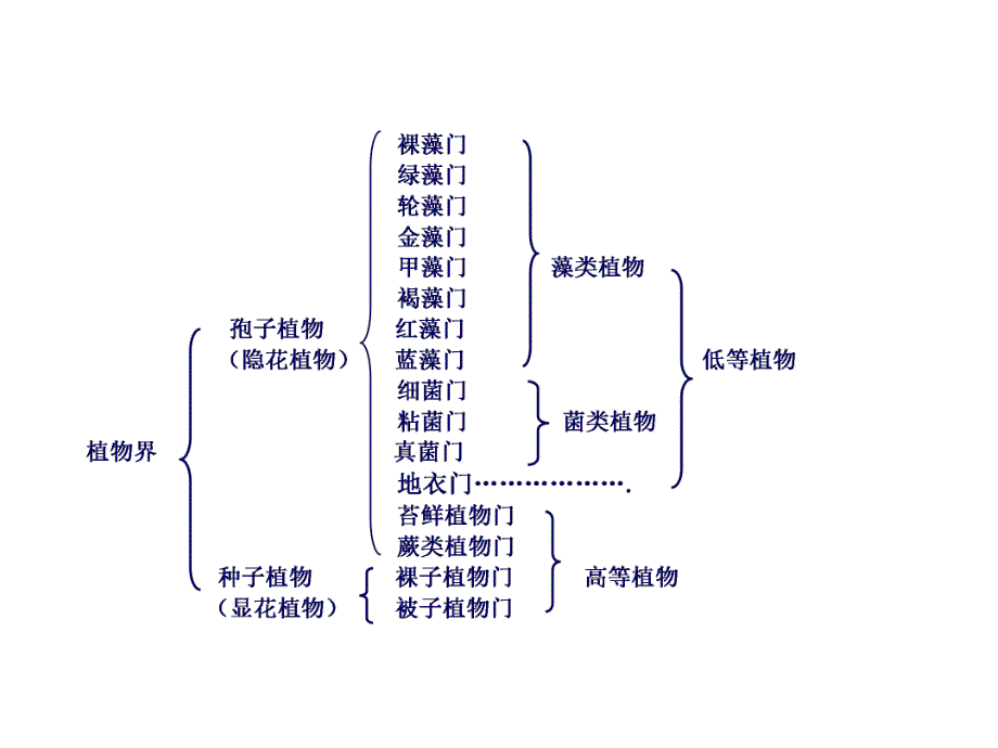 造纸植物纤维原料概述.ppt_第3页