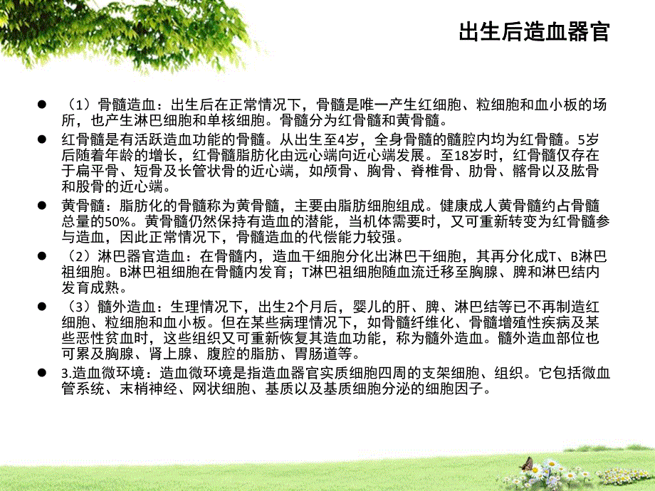 造血器官及血细胞的生成.ppt_第3页