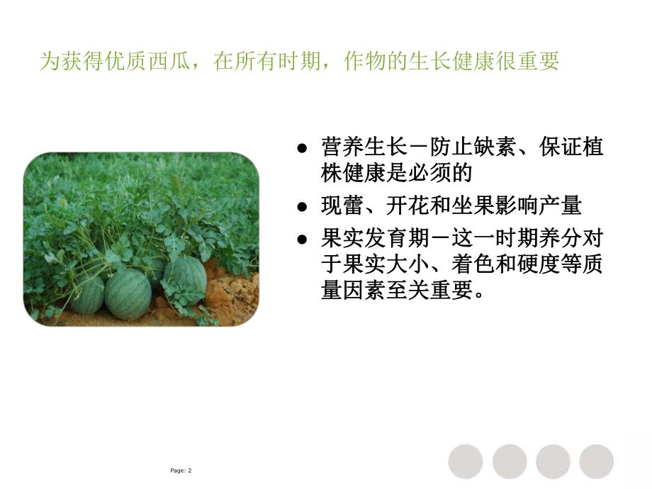 西瓜营养方案.ppt_第2页