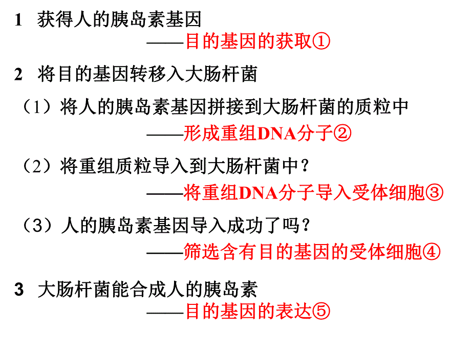 课件基因工程的基本操作程序.ppt_第2页