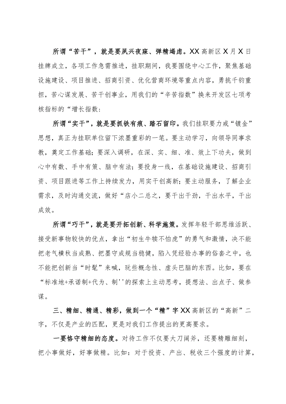 在挂职干部座谈会上的发言.docx_第2页