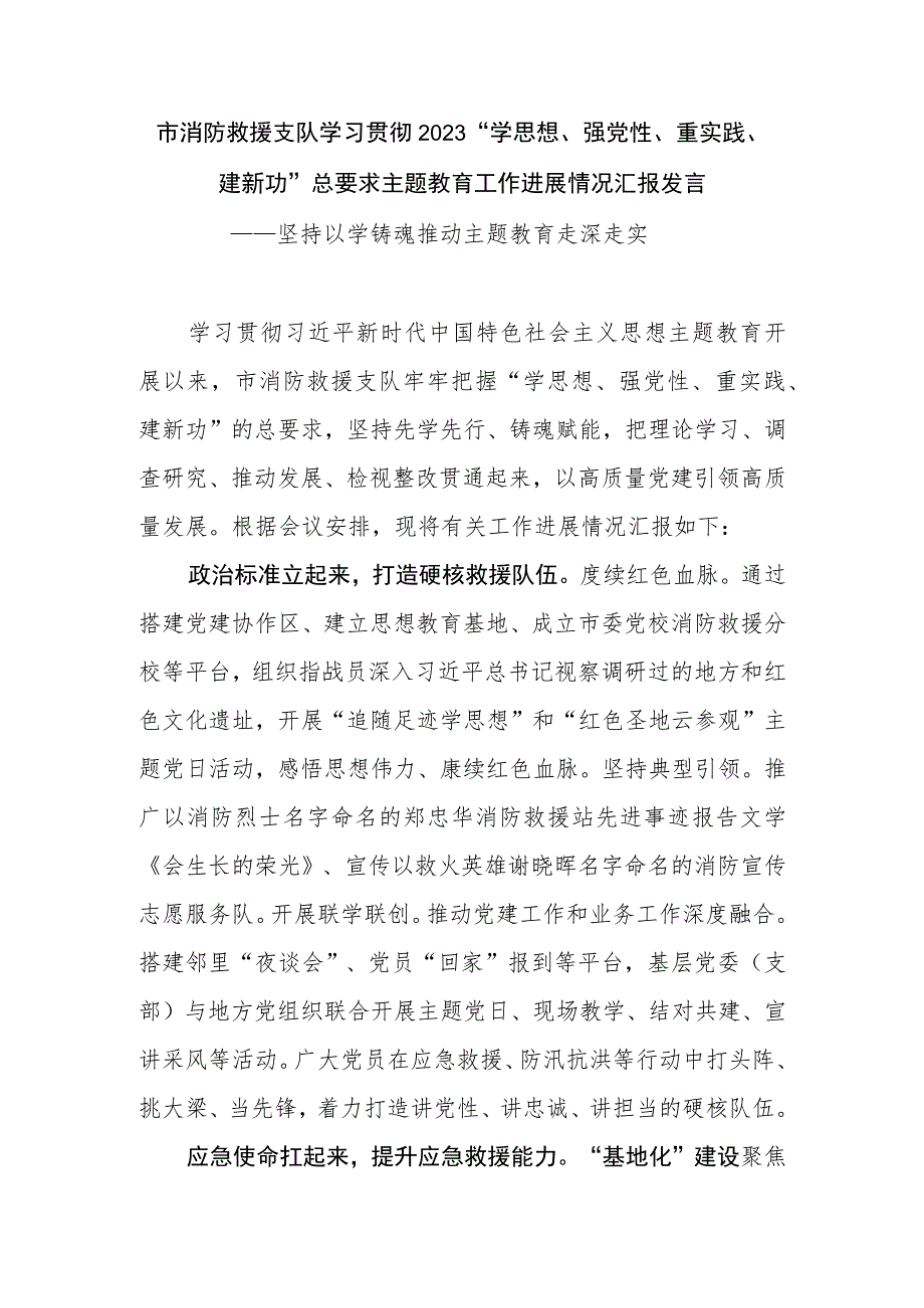 市消防救援支队学习贯彻2023“学思想、强党性、重实践、建新功”总要求主题教育工作进展情况汇报发言.docx_第1页