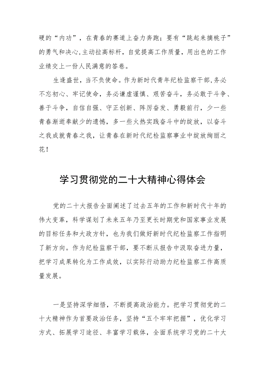 纪检监察干部关于学习贯彻党的二十大精神研讨发言材料六篇.docx_第3页