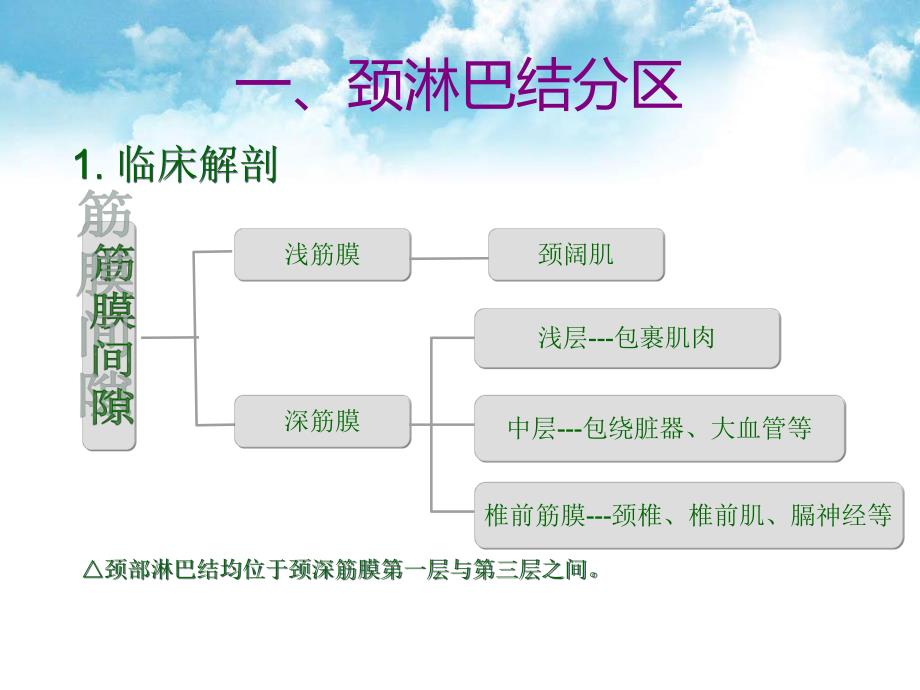 颈淋巴结分区及清扫术式分类.ppt_第2页