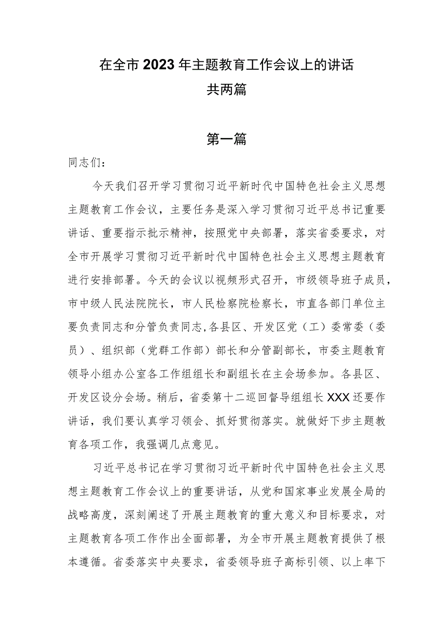 在全市2023年主题教育工作会议上的讲话共两篇.docx_第1页