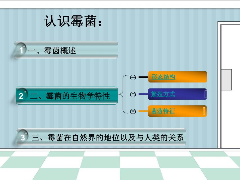 霉菌完结版第四组.ppt_第2页