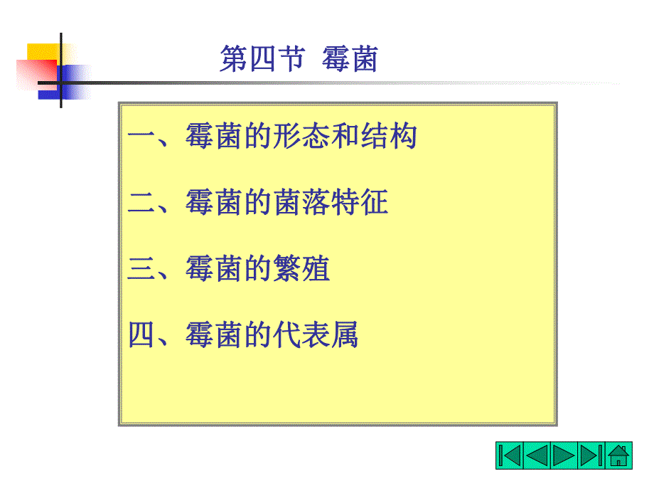 霉菌的形态和结构.ppt_第1页