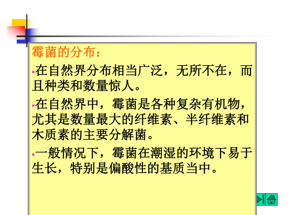 霉菌的形态和结构.ppt_第3页