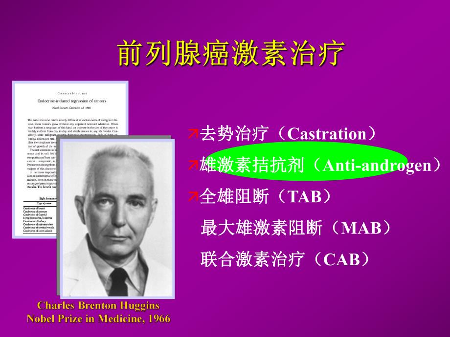 雄激素拮抗剂和前列腺癌.ppt_第2页