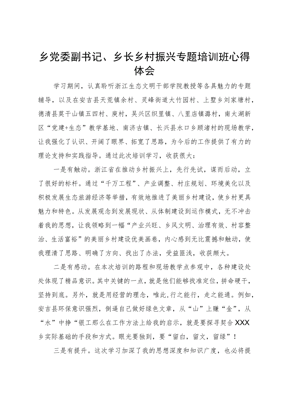 乡党委副书记、乡长乡村振兴专题培训班心得体会.docx_第1页