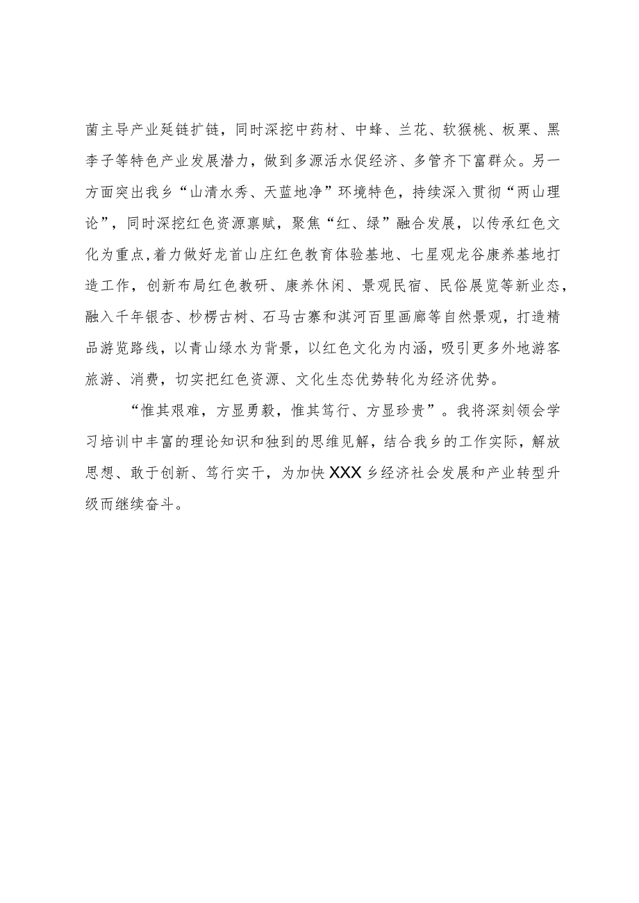 乡党委副书记、乡长乡村振兴专题培训班心得体会.docx_第3页