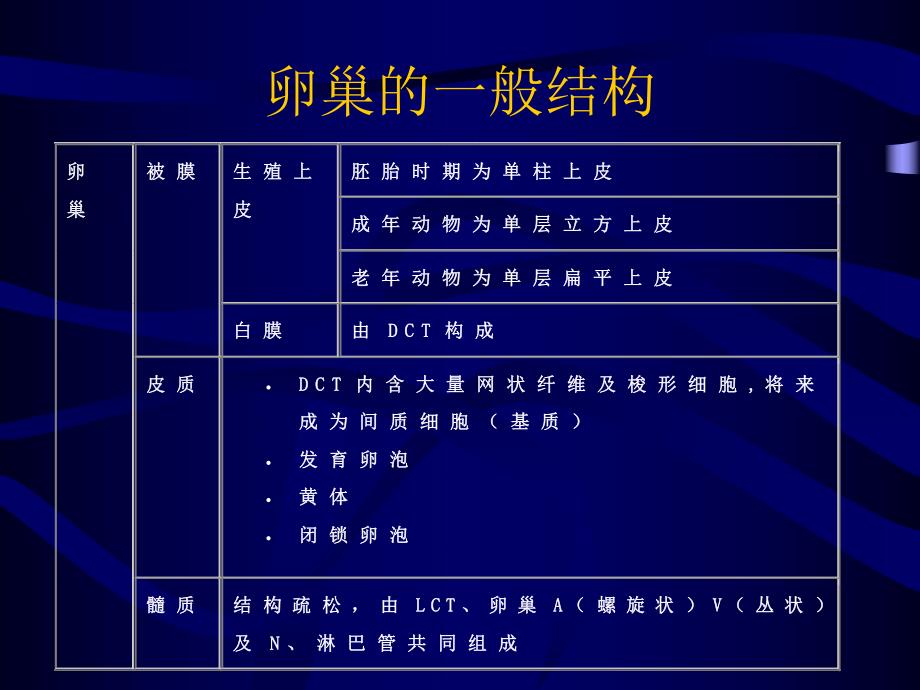 雌性生殖器官.ppt_第2页