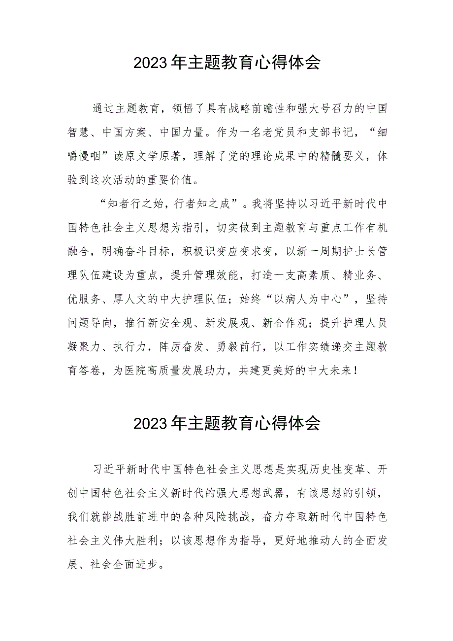 医院党支部书记关于主题教育的心得体会三篇.docx_第2页