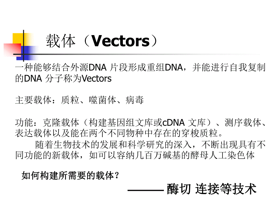 限制性酶切与连接.ppt_第2页