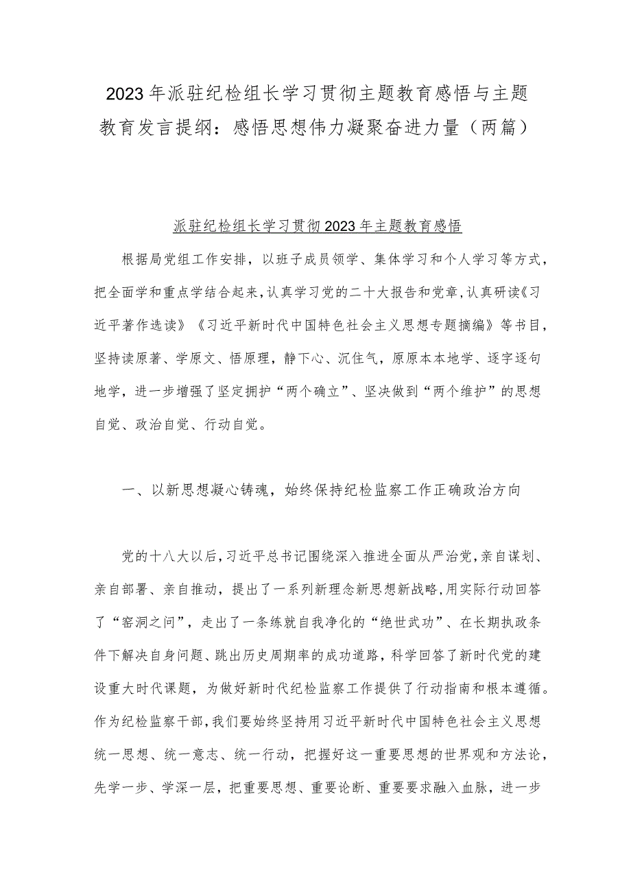 2023年派驻纪检组长学习贯彻主题教育感悟与主题教育发言提纲：感悟思想伟力凝聚奋进力量（两篇）.docx_第1页