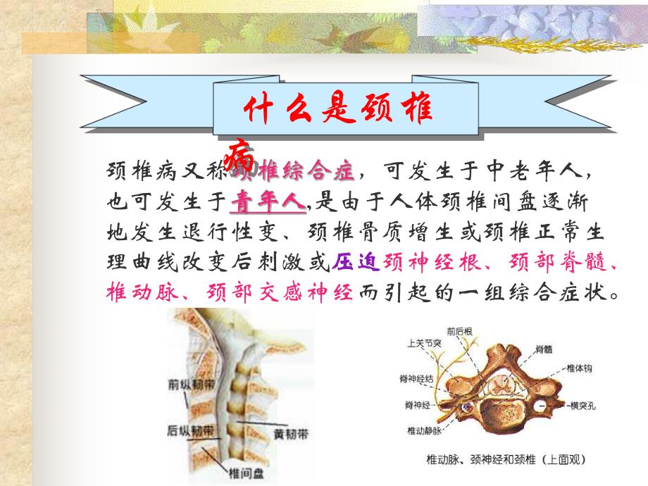 防颈椎病不难.ppt_第2页