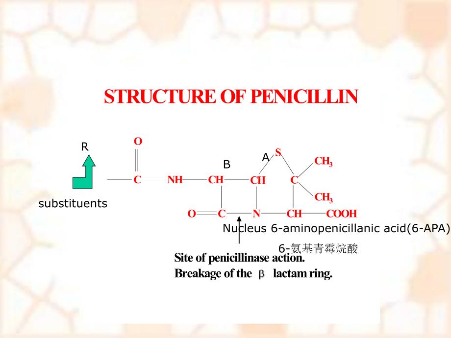 青霉素类2.ppt_第3页
