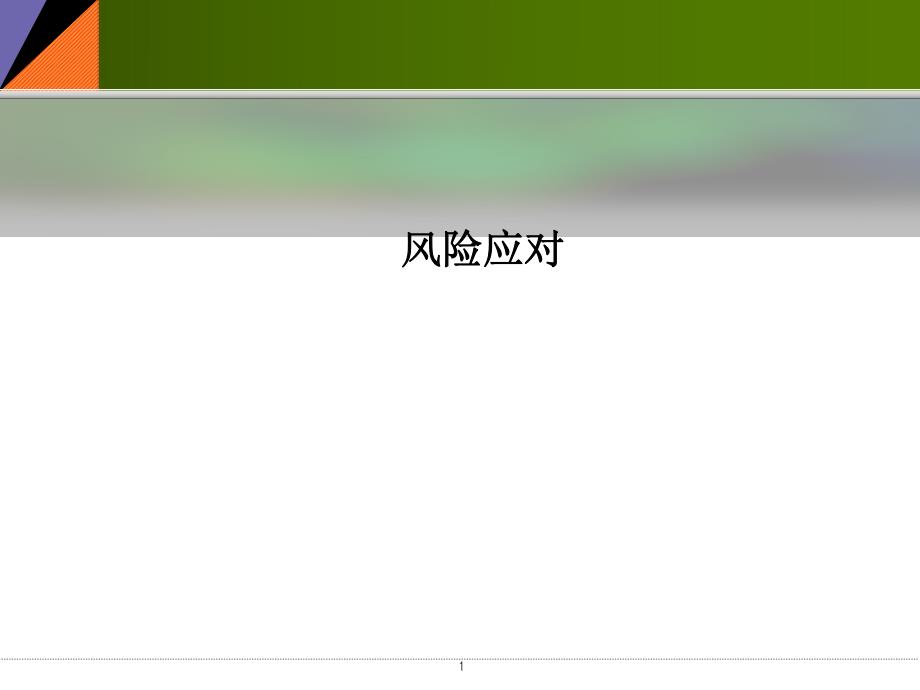 风险应对.ppt_第1页