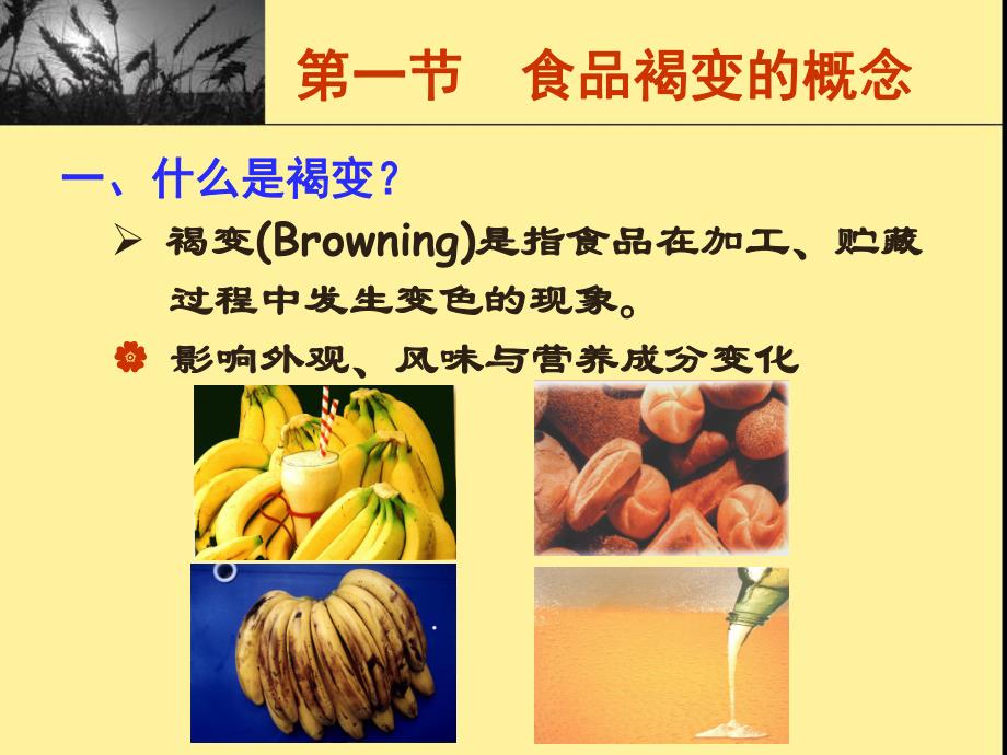 食品的褐变基础知识.ppt_第2页