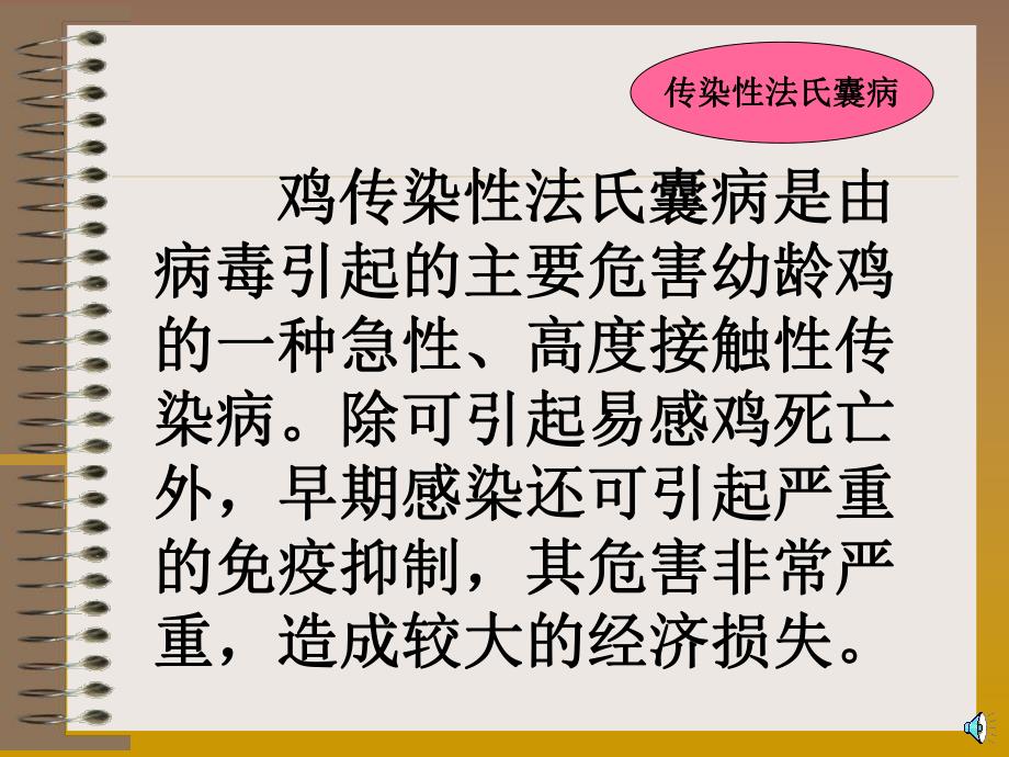 鸡传染性法氏囊病培训课件.ppt_第2页