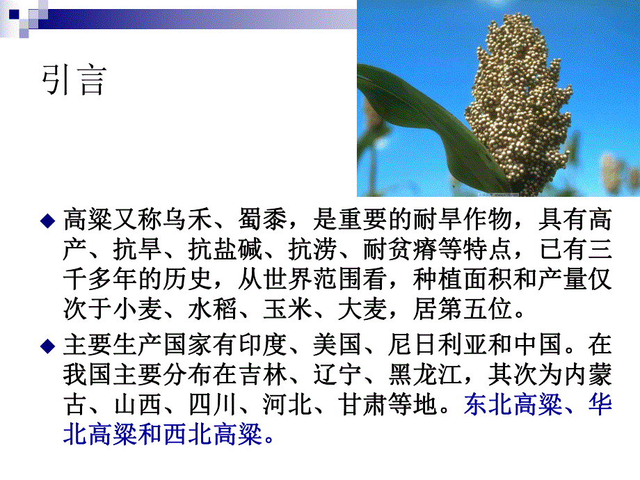 高粱淀粉的研究概述.ppt_第2页