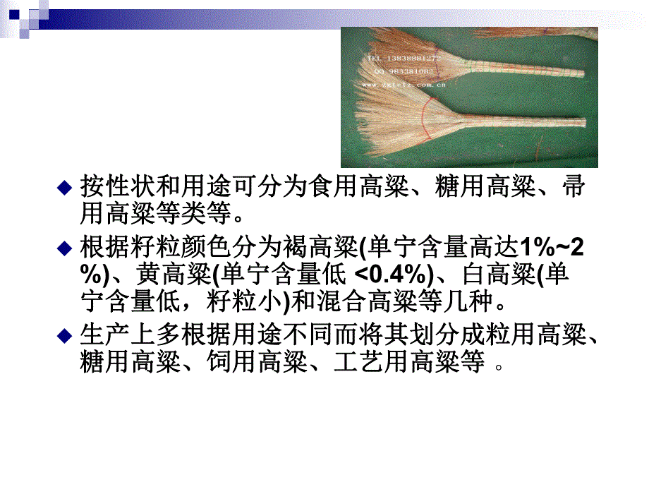 高粱淀粉的研究概述.ppt_第3页