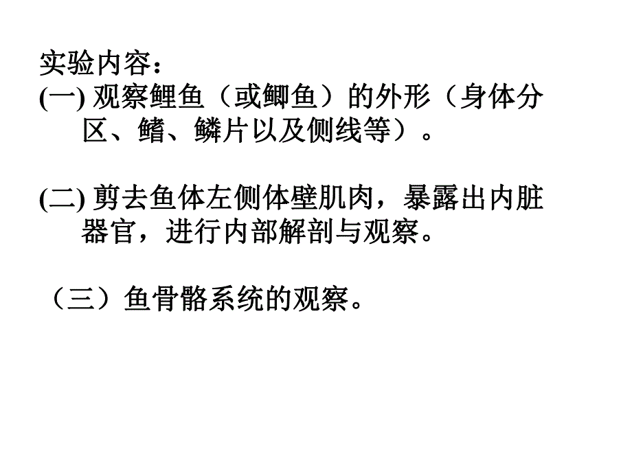 鲤鱼或鲫鱼的外形和内部解剖.ppt_第2页