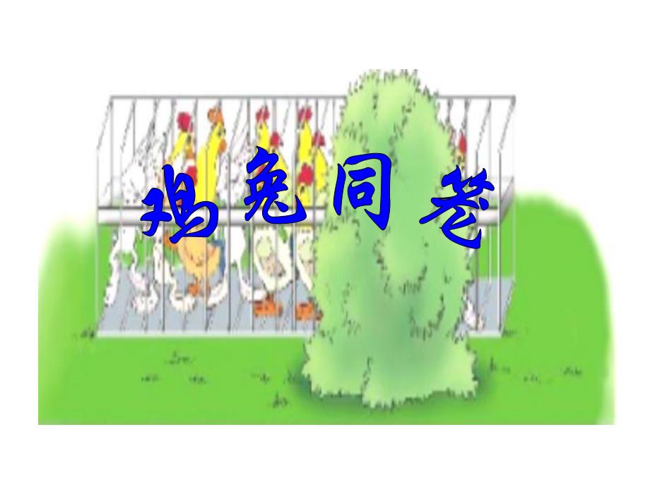 鸡兔同笼教学课件.ppt_第1页