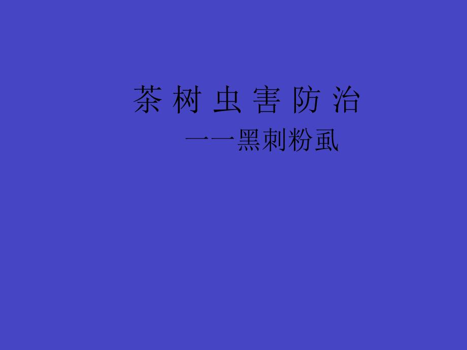 黑刺粉虱防治.ppt_第1页