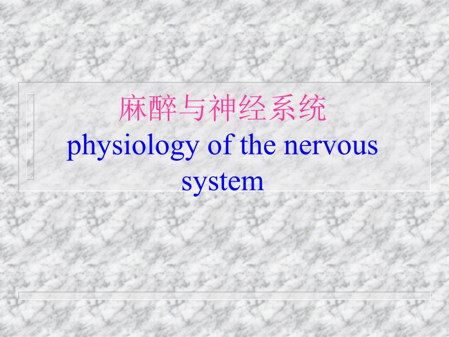 麻醉与神经系统.ppt_第1页