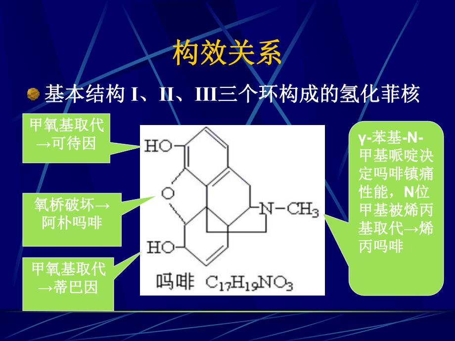 麻醉性镇痛药及其拮抗药1.ppt_第3页