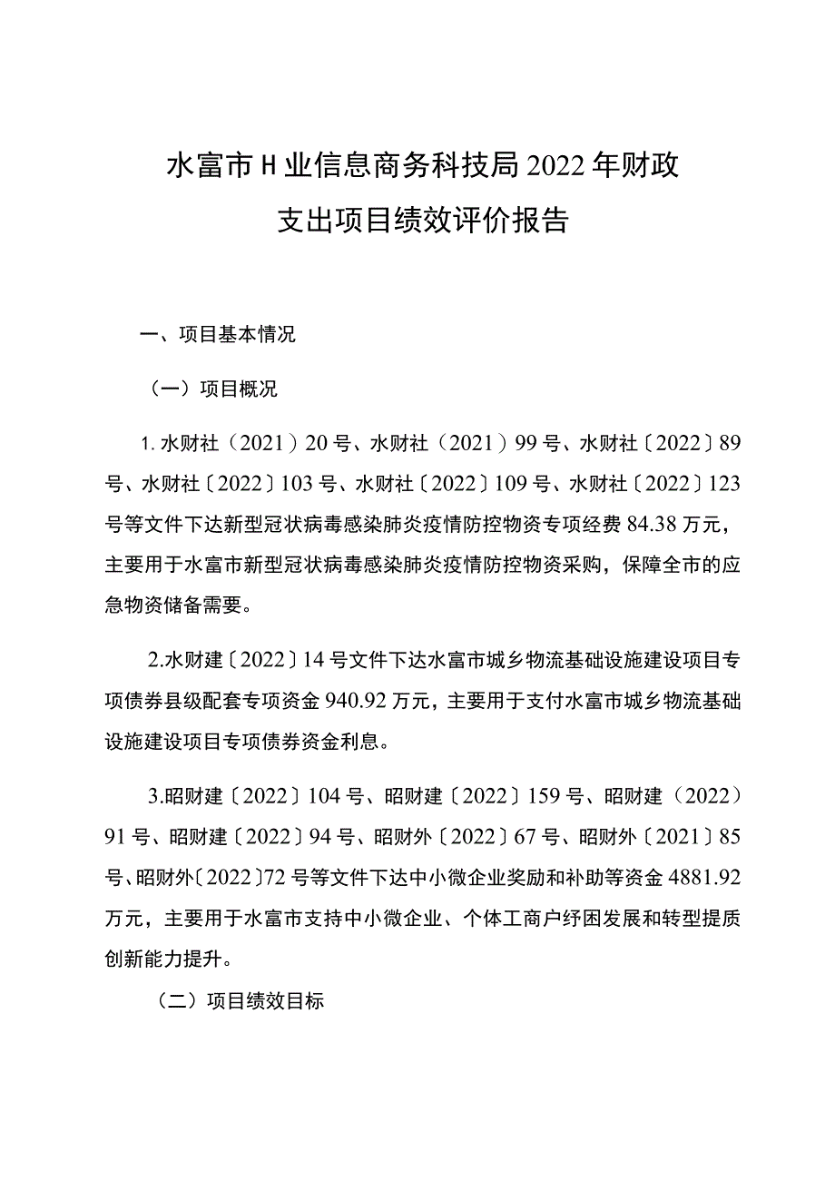 水富市工业信息商务科技局2022年财政支出项目绩效评价报告.docx_第1页