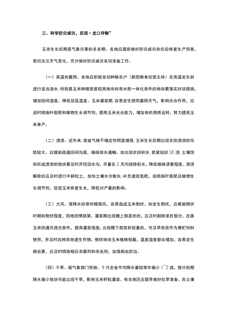 山东省夏玉米后期生产管理技术意见.docx_第2页