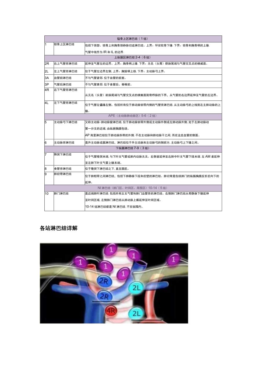 图谱：十分钟搞懂肺癌淋巴结分区.docx_第2页