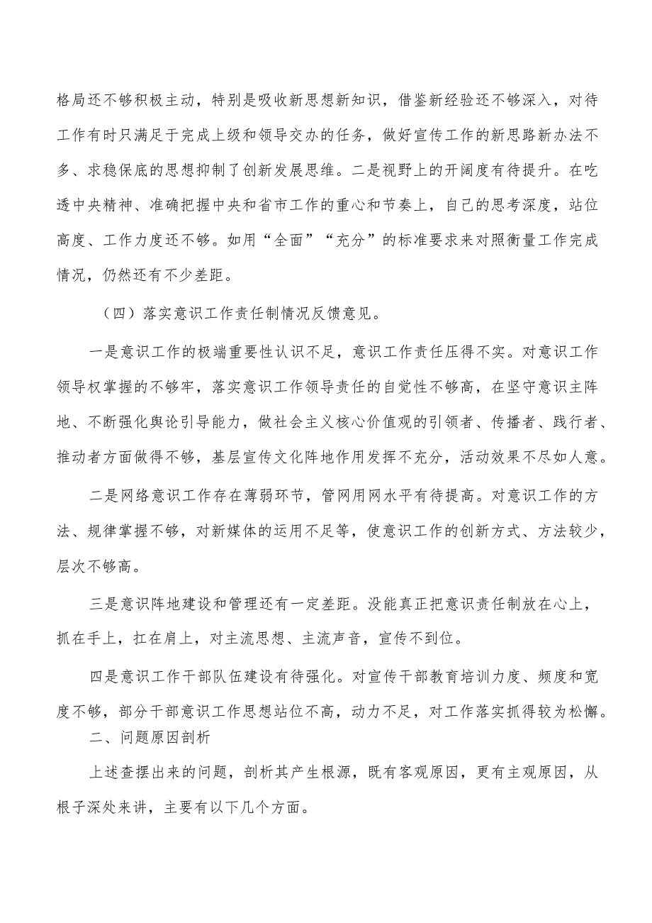 反馈问题检查个人发言提纲.docx_第2页