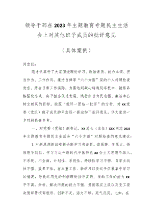 领导干部在2023年主题教育专题民主生活会上对其他班子成员的批评意见（具体案例）.docx