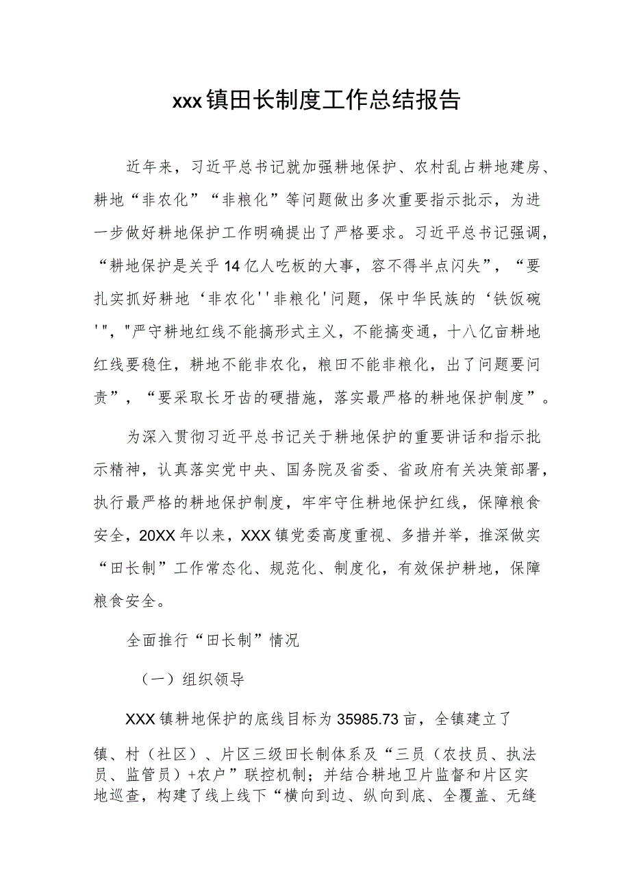 xxx镇田长制度工作总结报告.docx_第1页