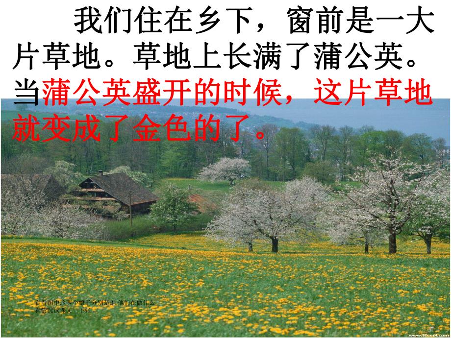 2金色的草地 .ppt_第3页