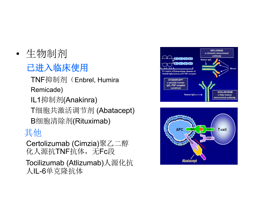 常见风湿病治疗药物及误区.ppt_第3页