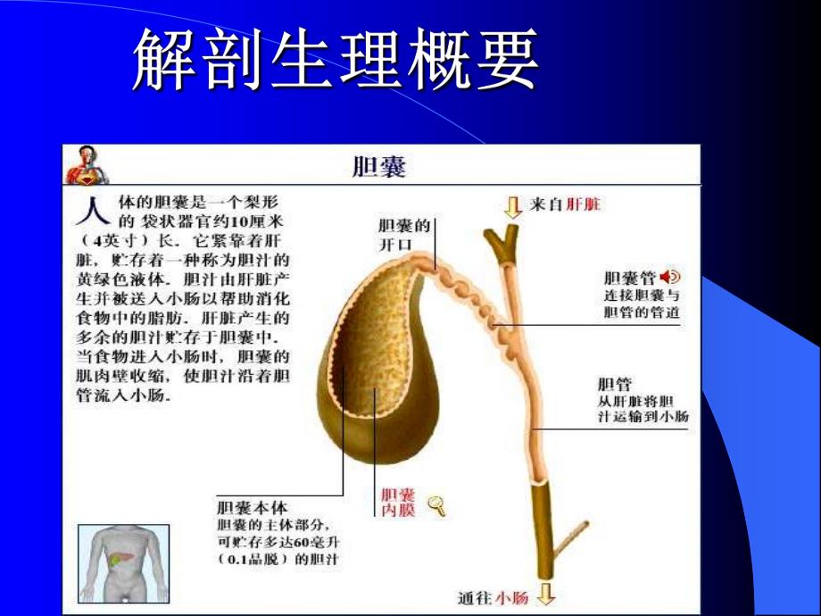 胆道疾病1.ppt_第2页