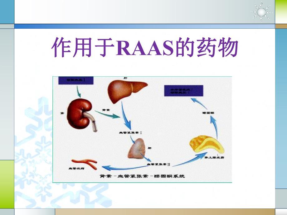 2RAASCCB.ppt_第3页